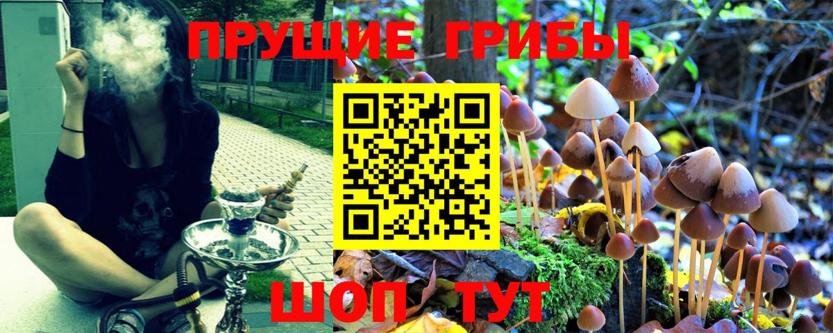 Трёхгорный  Псилоцибиновые грибы Psilocybe  Вход с VPN 